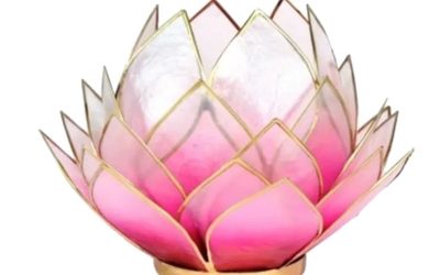 NOVINKA – SVIETNIK a STOJAN